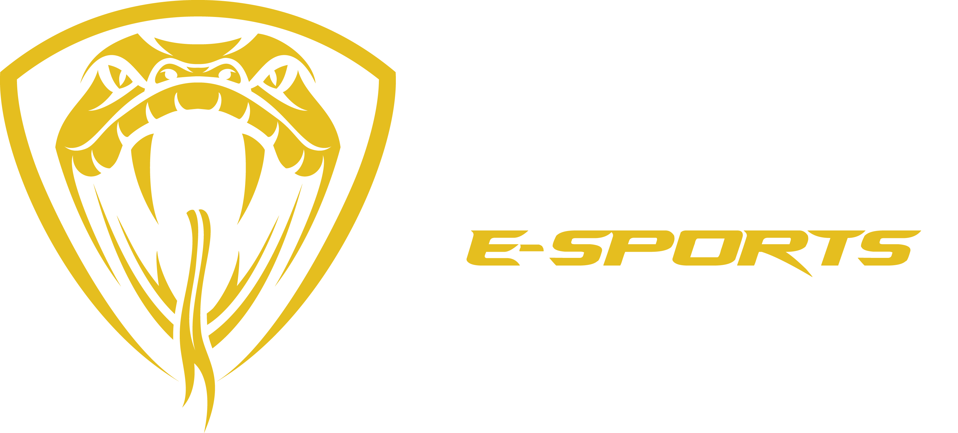 FEB E-Sports